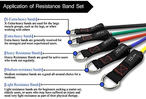 TheFitLife Exercise and Resistance Bands Set - 5 Fitness stackable up to - Image 4